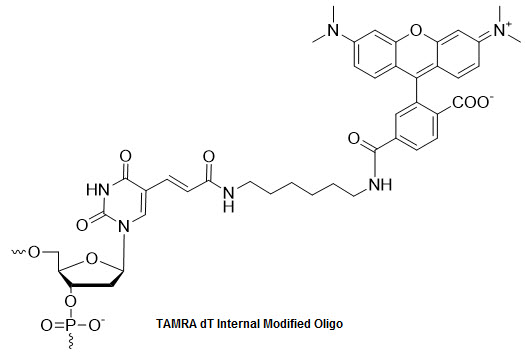 Bio-Synthesis Inc. Oligo Structure